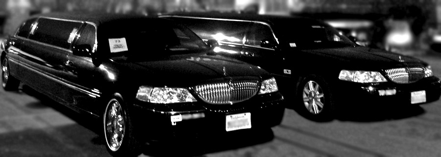 Sprinter Limo Transportation Orange County to Las Vegas